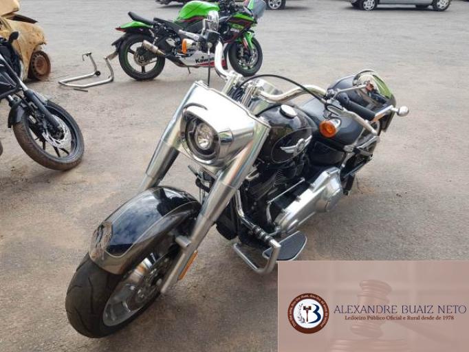  HARLEY DAVIDSON SOFTAIL 19/20